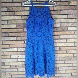 White House Black Market Size 8 Blue Lace Dress